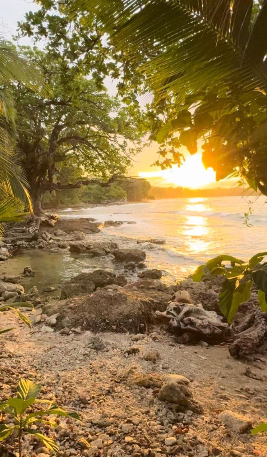 Albergue Casa Mamre Cahuita Exterior foto
